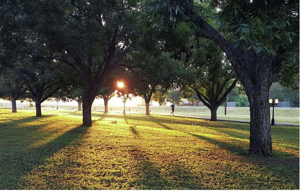 Doubletree By Hilton New Orleans Airport Hotel Kenner Facilities photo